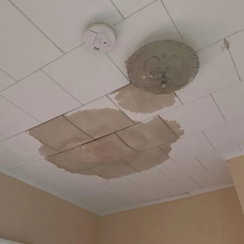 Ceiling Water Damage Repair in Stamps, AR