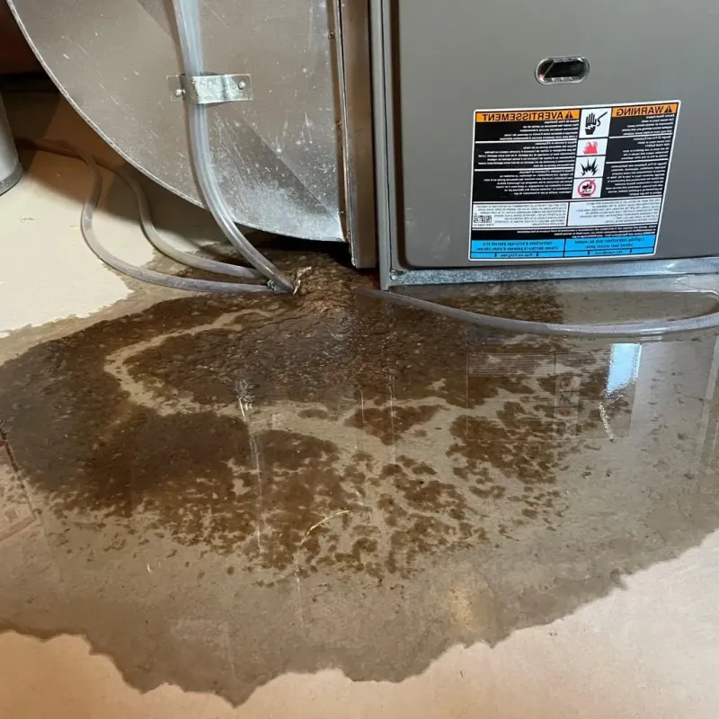 Pipe Burst and Leak Restoration in Stamps, AR