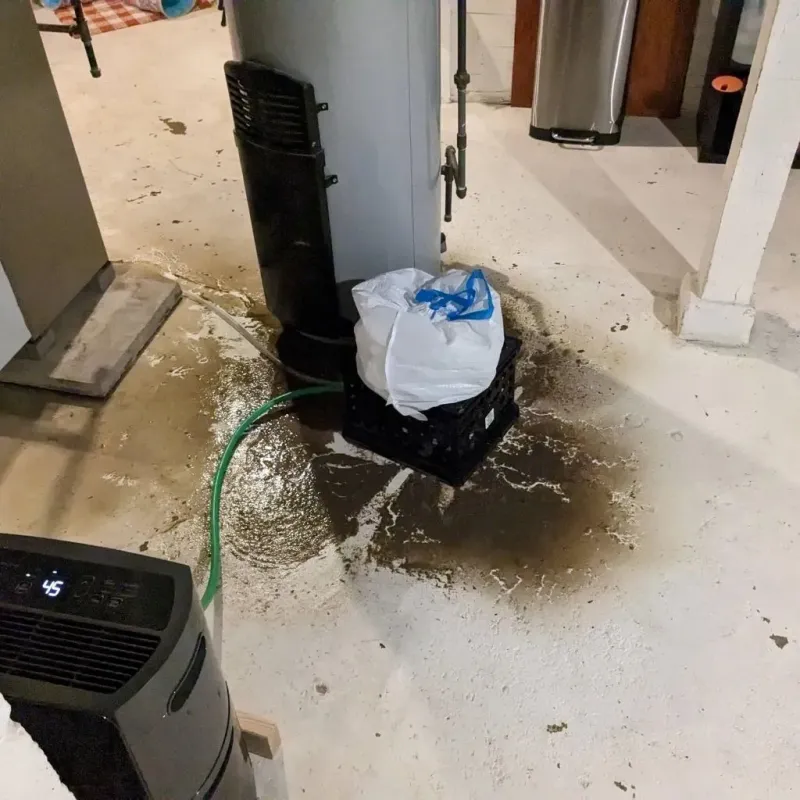 Sewage Backup Cleanup Service in Stamps, AR